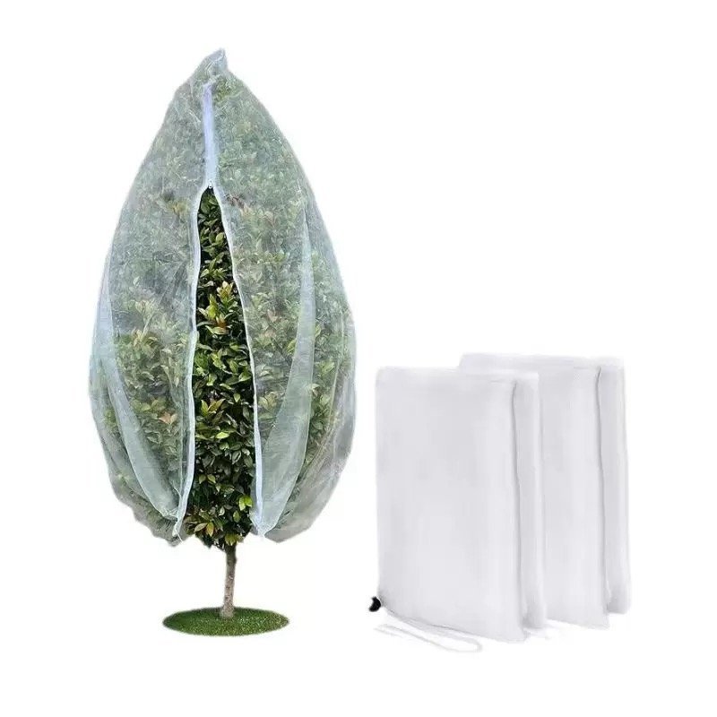 Insect Net