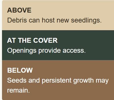 Landscape fabric diagram showing possible weed origins above, at and below the cover; layers not to scale